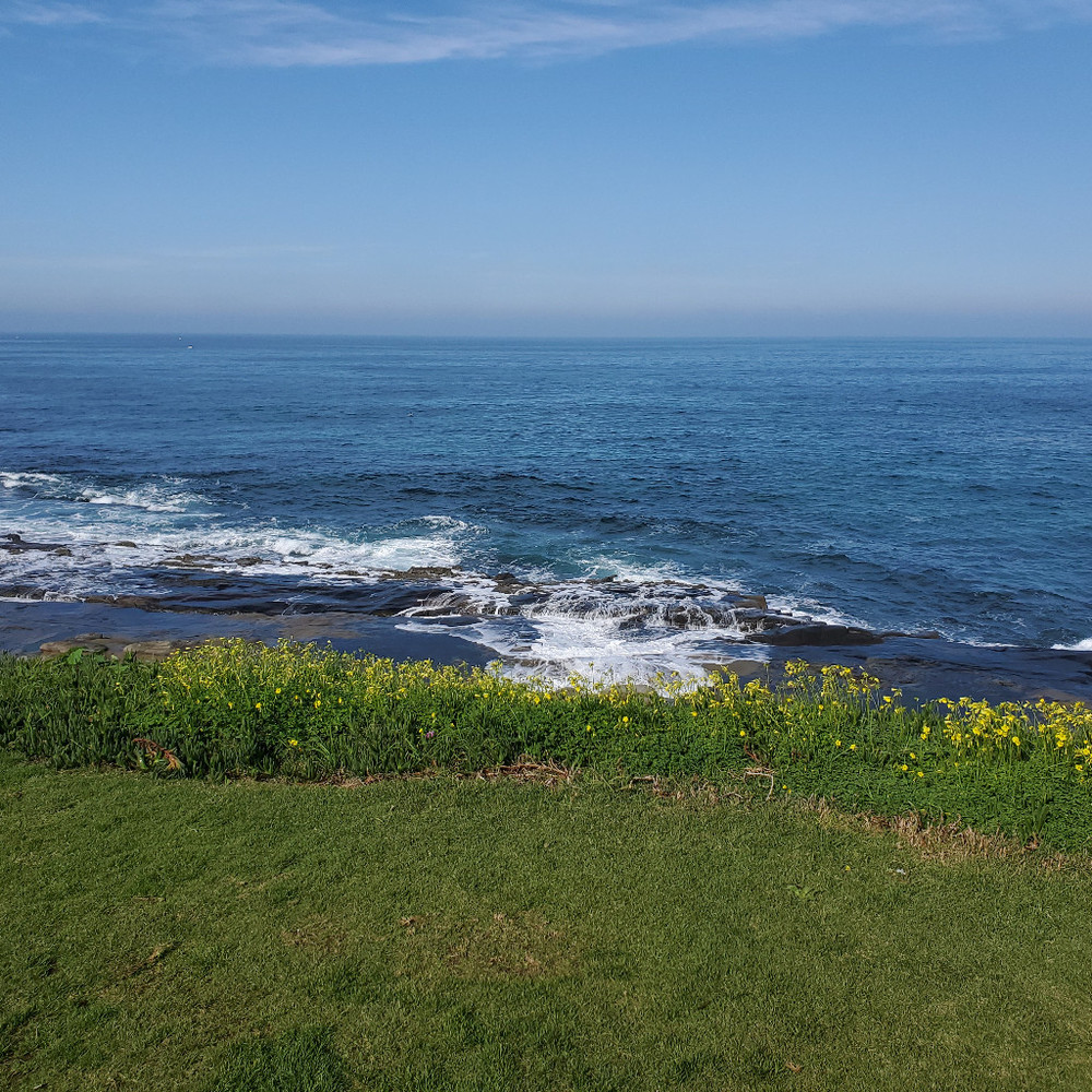 Meet your Posher, Carissa